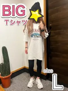値下げ!BIGTシャツ