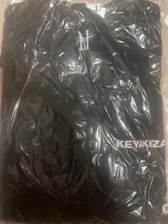 Item thumbnail for item ab47f009-ecba-454f-996e-47ee8462bdd5