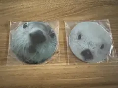 鳥羽水族館　コースター　ラッコ