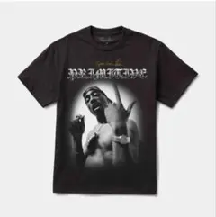 PRIMITIVE X 2PAC ONE TEE BROWN Lサイズ