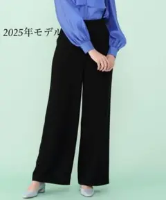 ANAYI【2025年モデル】現行商品 ダブルクロスサスペンダーパンツ