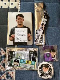 千葉ロッテマリーンズ　佐藤都志也　セット