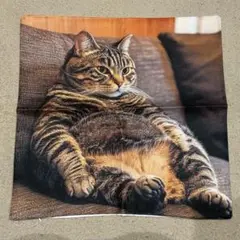 おっさん猫　可愛い　インテリア　ソファ　キジトラ　クッションカバー