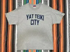 チャンピオン Tシャツ Lサイズ グレー 刺繍タグ Champion ビンテージ