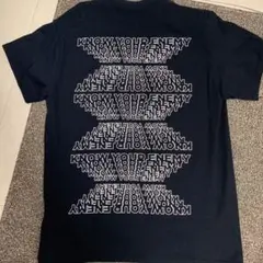 FPAR サイズ2