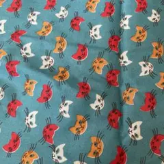 猫生地ブルー