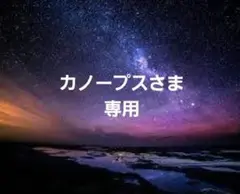カノープスさま専用　リクエストセット