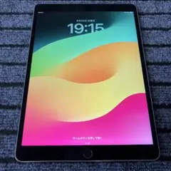 105【早い者勝ち】 iPad Pro 10.5 64GB スペースグレイ