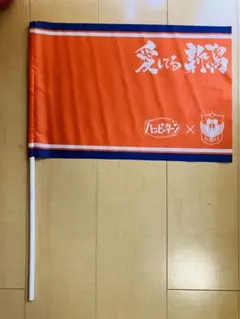 【アルビレックス】ミニフラック♪