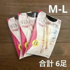 グンゼ  GUNZE 引き締め美脚 ブラック M-L 2足組× 3セット