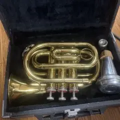 Item thumbnail for item d27e3bce-0b0f-4e4f-82b5-01bf4c0fd735