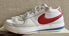 NIKE BOOK 1EP FJ4250-105 26.5cm