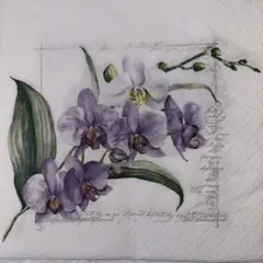 ꕤ︎︎·͜· ︎︎花13③・4枚セットペーパーナプキン