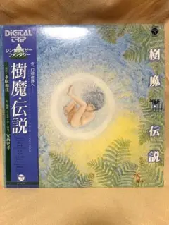 [8月末まで] 樹魔伝説　水樹和佳　LP レコード
