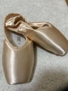 PRO-FLEX トゥシューズ 5½ ベージュ