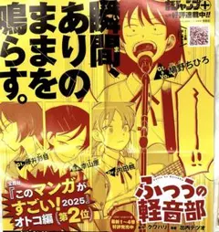 ふつうの軽音部　3巻　B3ポスター　販促　非売品 ふつうの軽音部 非売品B3ポスター - メルカリ