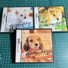 ニンテンドックスDSのセット