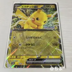 ポケモンメガスタンプラリー ジャンボカード