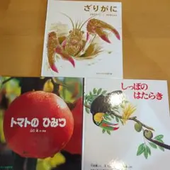 福音館書店　どきどきしぜんシリーズ絵本3冊セット