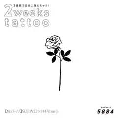 Item thumbnail for item 39aef510-1e7c-42b3-adde-e08b0c0a578a