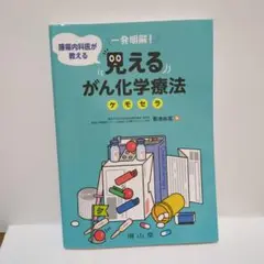見えるがん化学療法 ケモセラ