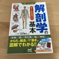 解剖学の基本