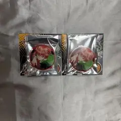 家庭教師ヒットマンREBORN! アクリルバッジ　古里炎真　炎真