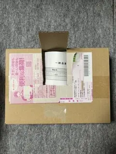 ポケセン産 スカーレット＆バイオレット 拡張パック ホワイトフレア BOX