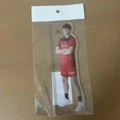 小野寺太志　アクリル定規　サントリーサンバーズ
