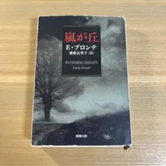 嵐が丘 E・ブロンテ 新潮社版