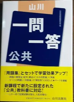 山川一問一答公共