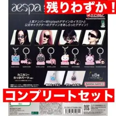 aespa ぷっくりめじるしアクセサリー　コンプリートセット　全８種