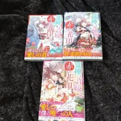 龍神と許嫁の赤い花印1〜 3