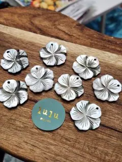 Item thumbnail for item 6c1009fe-99e4-484e-bb23-433fb2fa3156