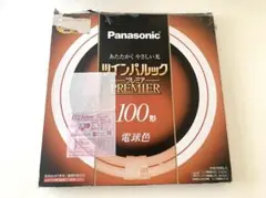 未使用品　パナソニック　ツインパルックプレミア　FHD100EL