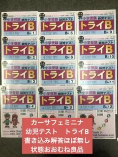 カーサ・フェミニナ小学校受験　幼児テスト　年中児トライB１０冊書き込み解答無 カーサ・フェミニナ小学校受験 幼児テスト 年中児トライB10冊