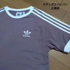 アディダス　オリジナルス　リンガー　Tシャツ くすみカラー　 らさ
