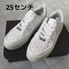 最終値下げ NIKE エアフォース 1 セージ LOW ホワイト