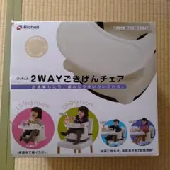 Richell 2WAYごきげんチェア