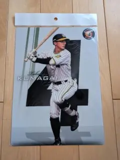 阪神タイガース熊谷敬宥選手下敷き【新品】