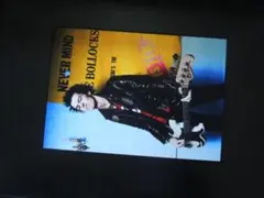A4 額付き ポスター シドビシャス Sid Vicious セックスピストルズ