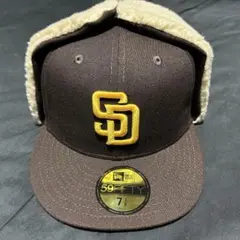 Item thumbnail for item 5fca41e6-d9c3-4ea9-b3ed-92c63de298bf