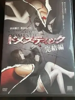 ドメスティック【完結編/DVD】