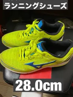 Mizuno ランニングシューズ 28.0cm