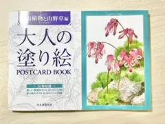 【新品未使用】大人の塗り絵 POSTCARD BOOK 高山植物と山野草編