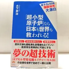 「超小型原子炉」なら日本も世界も救われる! : 原子力と50年「服部禎男」大激白