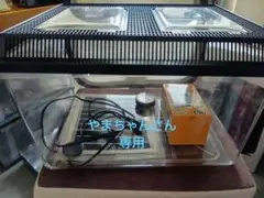 Item thumbnail for item 385e9d08-88a1-44c6-bf47-ce0821e28e4a