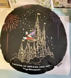 東京ディズニーランド クッション