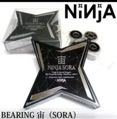 NINJA ベアリング ニンジャ宙 SORA SILVER 8個入り