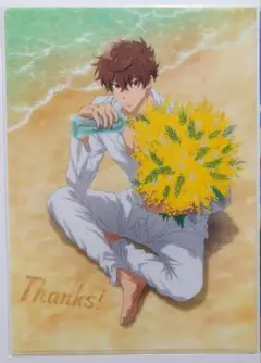 Free! FS バースデー クリアファイル 桐嶋夏也